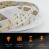 Picture of SMD 2835 Led Strip Light DC24V 10mm 192leds/m IP20 Led Tape Project Use Lighting White String 1800K 2200K 2700K 3000K 4000K 6500K