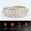 Picture of SMD 2835 CCT Led Strip DC24V 10mm 192leds/m Color Temperature Led Tape Lighting String 2700K-6500K Dual White Strip Lights