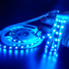 Picture of RGB SMD 5050 Led Strip DC24V 10mm 60leds/m Multi-Color Changeable Led Tape Project Use Lighting IP20