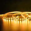 Picture of RGBW SMD 5050 Led Strip Light DC24V 12mm 60leds/m Color Changeable Led Tape String IP20 RGB+2700K 3000K 4000K 5000K